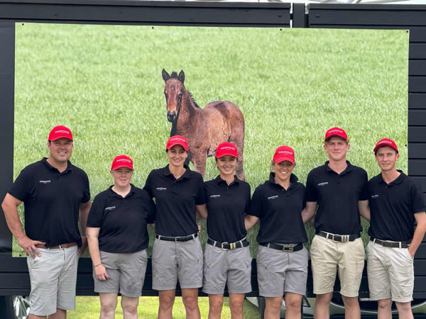 Spanning multiple generations, famed Southern nursery Inglewood Stud features prominently at New Zealand’s 100th National Yearling Sale. Photo Supplied.