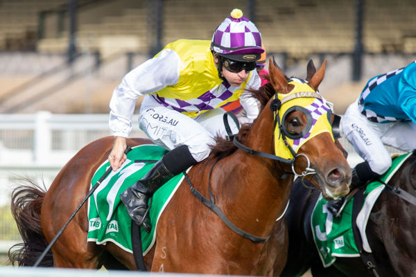 In Good Time breaks a two year drought (Racing Queensland)
