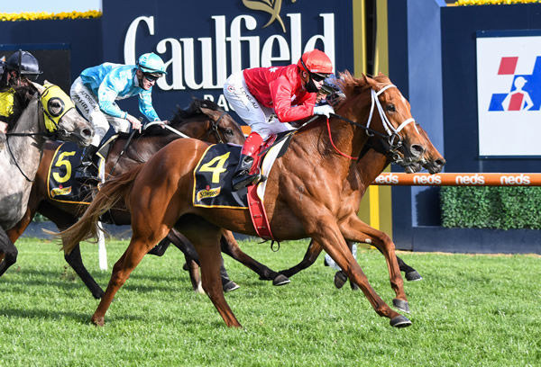 Instant Celebrity wins the G3 Guineas Prelude for fillies  - image Pat Scala - Racing Photos 