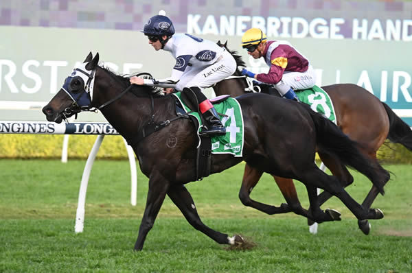 Insurrection shas been a prolific winner for Darby Racing - image Steve Hart