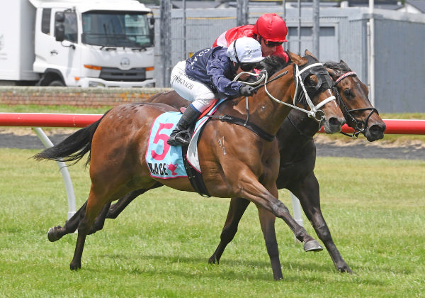 Intention winning Saturday's Gr.2 Happy Hire Wakefield Challenge Stakes (1100m) at Trentham. Photo: Peter Rubery (Race Images Palmerston North)