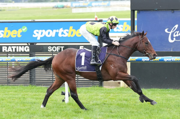 Interest Point bolted in on debut at Mornington - image Scott Barbour / Racing Photos