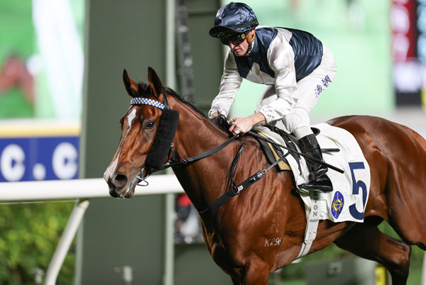 Invincible Ibis is the 100th HK winner for Mark Newnham - image HKJC