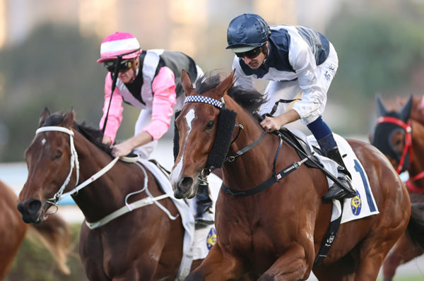 Invincible Ibis wins his fourth race in a row - image HKJC 