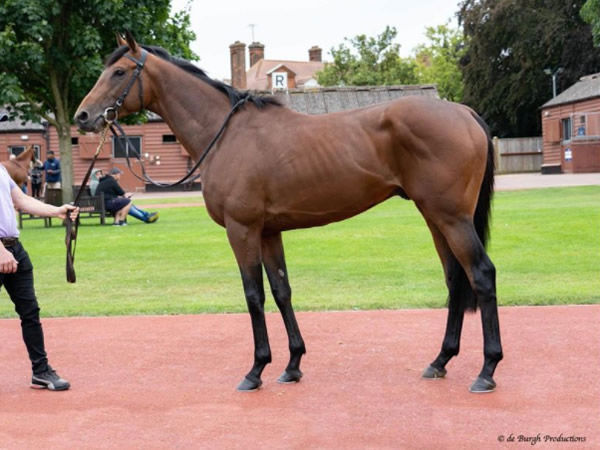 Iowa was bought for 100,000 guineas, click to see his page.