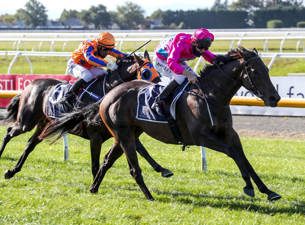 Irish Girl stretches out nicely to win the Gr.3 Valachi Downs South Island Breeders’ Stakes (1600m) at Riccarton  Photo Credit: Race Images South