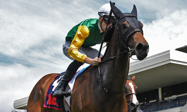 Irish Legacy and Ryan Elliot powered away with Saturday's TAB 1200 at Ellerslie.  Photo: Kenton Wright (Race Images)