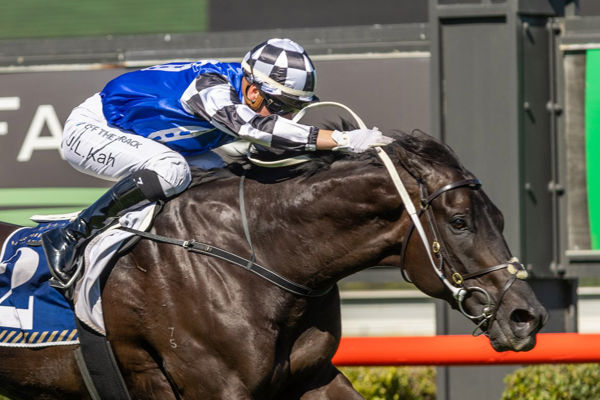 The best bred horse in Australia - Ironclad (Image Racing SA)