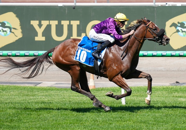 Is It Me is a long shot with a chance - image Racing Photos