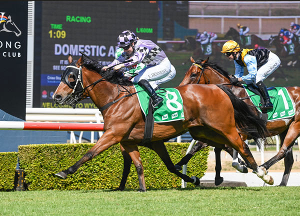 Isorich wins at Wyong at start 145! - image Bradley Photography