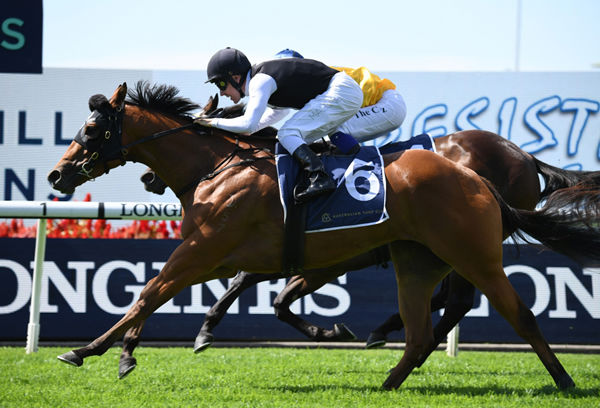 Isotope wins the Darby Munro stakes (image Steve Hart)