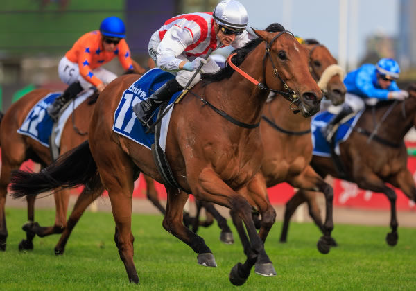 Woman on a mission - Isthmus wins her first stakes race - image Grant Courtney