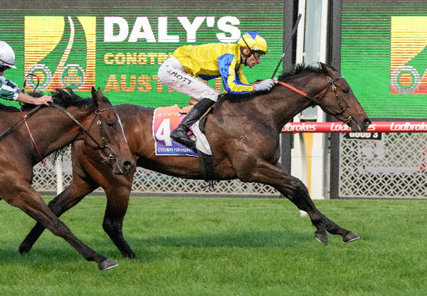 It's a YEs wins at Moonee Valley - image George Salpigtidis / Racing Photos