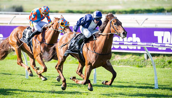 It'sarayday wins the Listed Fairetha Stakes - image Western RAcepix