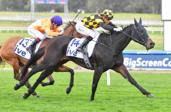 Ithadtobezou back in winning form at Sandown - image Pat Scala / Racing Photos