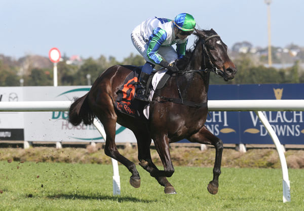 It Might Be You strides to her maiden victory at Te Rapa Photo Credit: Trish Dunell