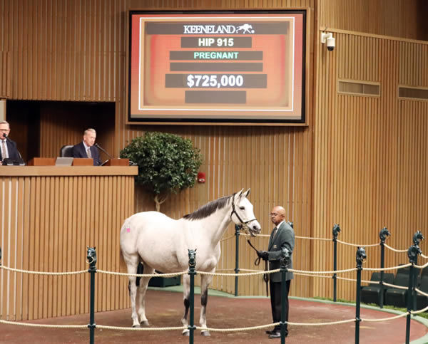 $725,000 mare J. Quirk, whose weanling by Gun Runner sold for $375,000