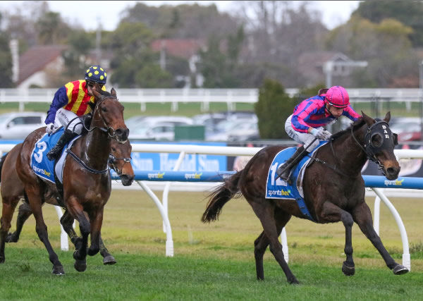 Blake Shinn guides Jabbawockeez to an easy victory at Caulfield Photo: Bruno Cannatelli