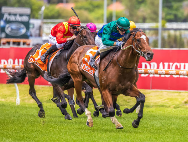 Jacquinot was a debut winner at two that improved with every preparation - image Grant Courtney 