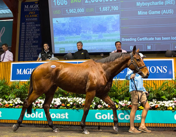 Jameka went through the 2018 MM National Broodmare Sale selling for $2.6million.