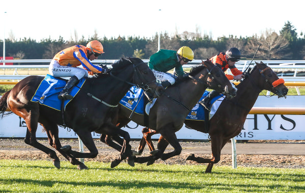 Adrian Bull celebrates with jockey Kelly Myers after Jay Bee Gee won the Gr.3 Winning Edge Presentations Winter Cup (1600m) at Riccarton.   Photo: Race Images South