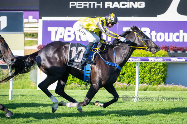 Jaz Session wins the Listed Scenic Blast  - image Western Racepix 