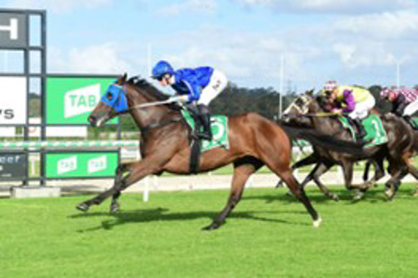 Jealous Wins at the Sunshine Coast .