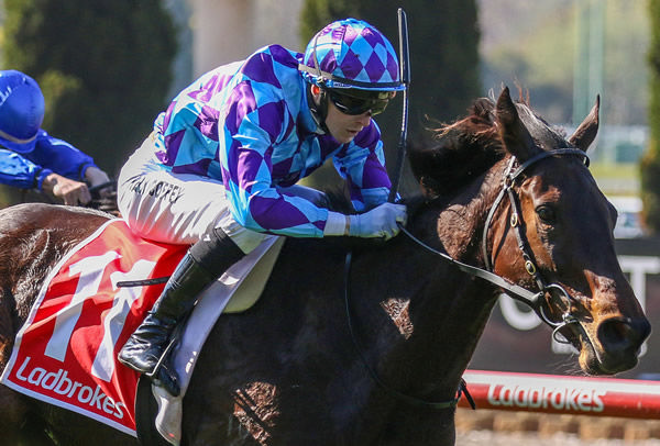 Jennivamoose powers home for victory in the Donnellans The Tyremen Handicap at The Valley, ridden by Harry Coffey. Photo: Bruno Cannatelli