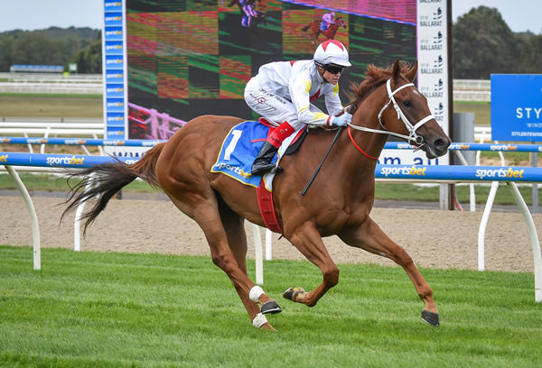 Jester wins well at Ballarat and bred on the same cross as G1 star Global Glamour - image Reg Ryan / Racing Photos