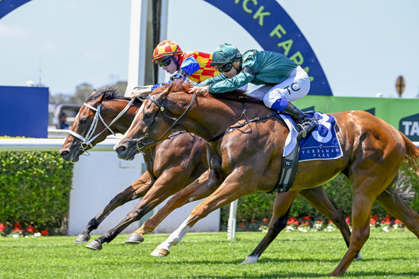 Jet and Snitzel Miss go to the line locked together - image Bradley Photos