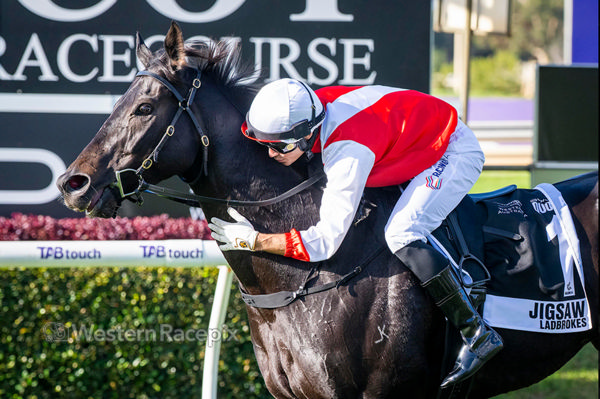Jigsaw and Logan Bates are a formidable team with the jockey riding him inn seven of his most recent wins - image Western RAcepix