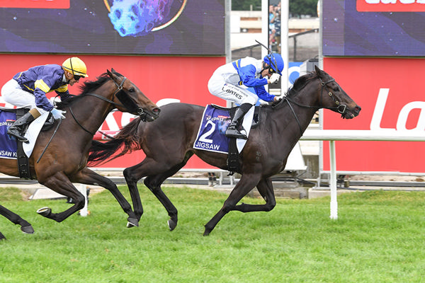 Local Victory IN The $1m Meteorite To Cindy Alderson's Jigsaw - Image Brett Holburt/Racing Photos