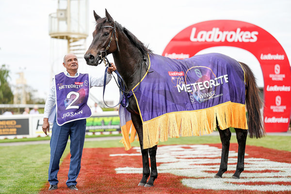 With Over $1.8m In Earnings, Jigsaw Is A Son of Manhattan Rain Who Stands For $5,500 (inc. GST) At Geisel Park Stud - Image Brett Holburt/Racing Photos