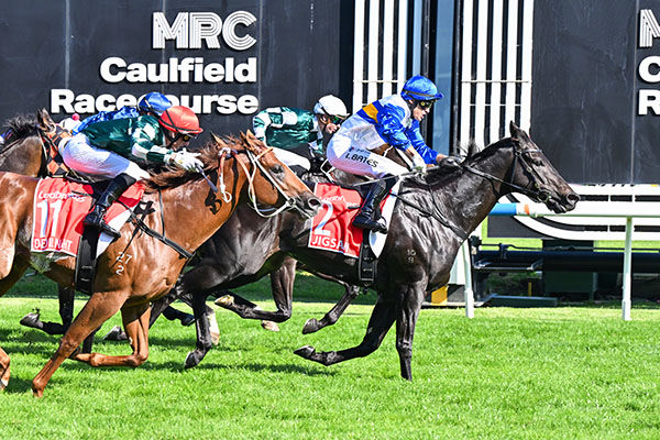 Second G1 victory for Manhattan Rain's Jigsaw - Image Pat Scala/Racing Photo