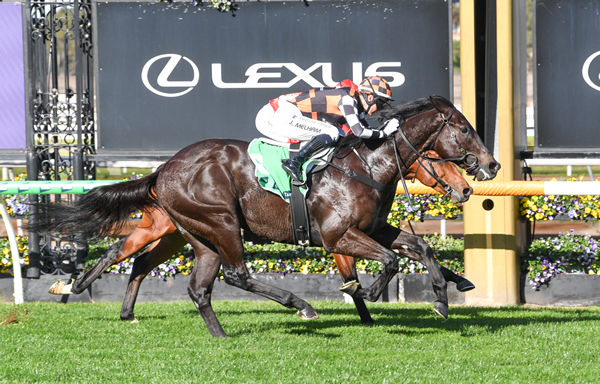 Jimmy Recard salutes at Flemington - image Red Ryan/ Flemington