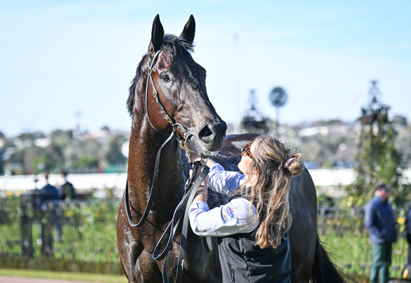 Jimmy Recard is a good looking colt - image Reg Ryan / Racing Photos