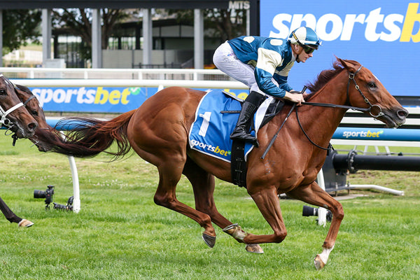 Jimmysstar dazzled again at Caulfield, claiming his third Group One title in the A$1 million CF Orr Stakes (1400m). Photo: Bruno Cannatelli