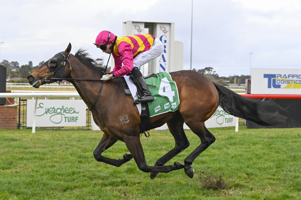Johnny wins on debut at Kembla - image Bradley Photography