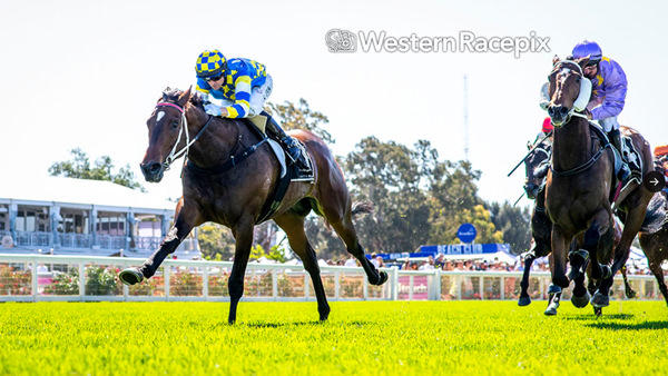 Jokers Grin wins the G3 Colonel Reeves Stakes - image Western Racepix