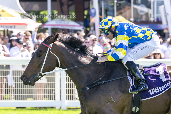 Jokers Grin. Photo: Western Racepix