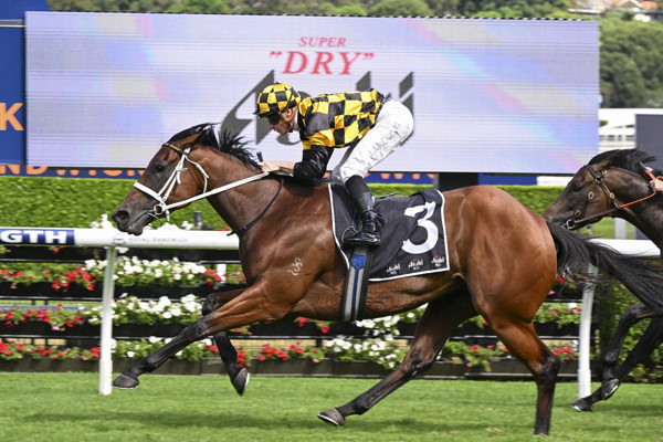 Joliestar wins the G2 Expressway Stakes - image Bradley Photos