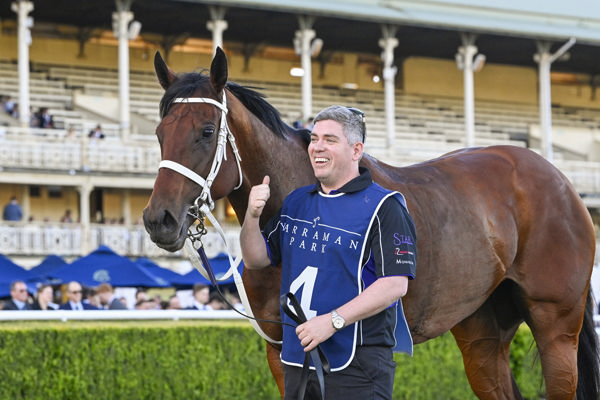 Joliestar has won over $5.1million  - image Bradley Photography