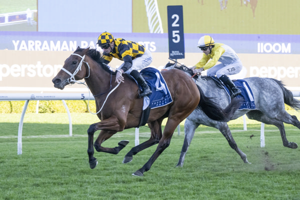 Joliestar blazes past Briasa - image Bradley Photograohy