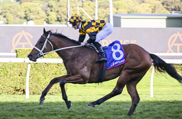 Joliestar wins the G3 Show County with authority - image Steve Hart