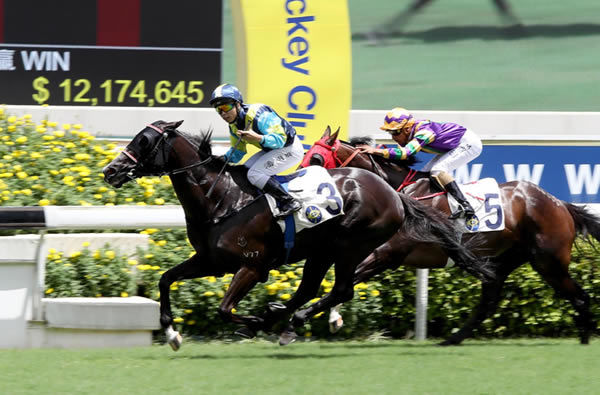 Jolly Banner wins the G3 Premier Cup - image HKJC