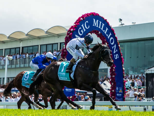 Jonker wins on Magic Millions Day at the Gold Coast - image Grant Courtney