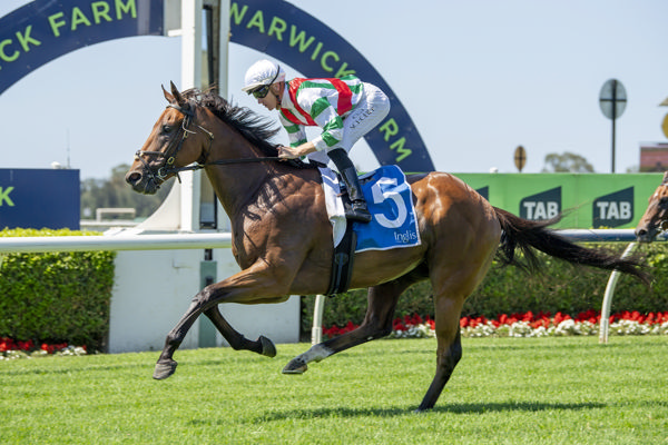 Journeyman wins at Warwick Farm in style - image Bradley Photos