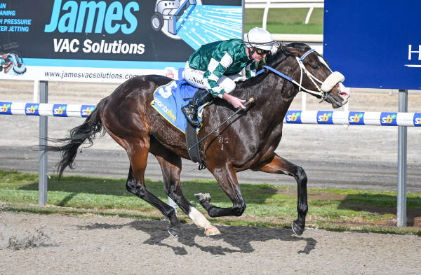 Judicial wins in debut at Ballarat - image Reg Ryan / Racing Photos