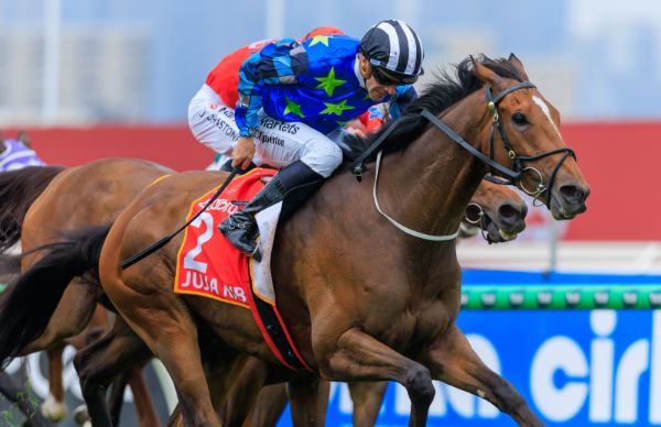 Juja Kibo winning the Moonee Valley Gold Cup