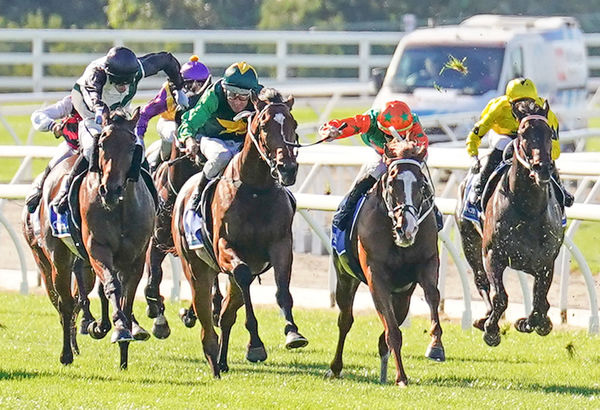  Jungle Magnate  (green colours) is the promoted Mornington Guineas winner after being struck on the nose by the whip of first past the post Sharp Response  Scott Barbour-Racing Photos